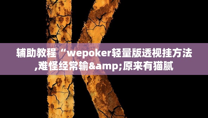 辅助教程“wepoker轻量版透视挂方法,难怪经常输&原来有猫腻