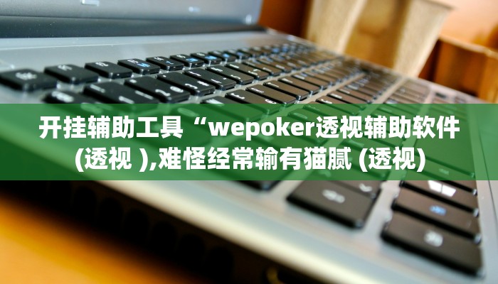 开挂辅助工具“wepoker透视辅助软件(透视 ),难怪经常输有猫腻 (透视)