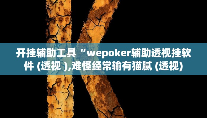 开挂辅助工具“wepoker辅助透视挂软件 (透视 ),难怪经常输有猫腻 (透视) 开挂辅助工具“wepoker辅助透视挂软件 (透视 ),难怪经常输有猫腻 (透视)