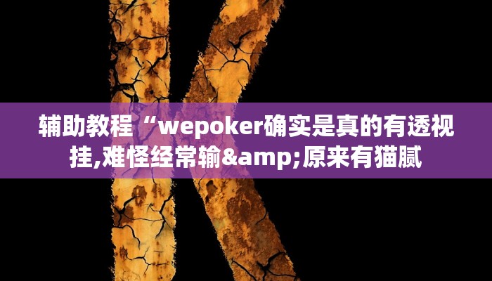 辅助教程“wepoker确实是真的有透视挂,难怪经常输&原来有猫腻
