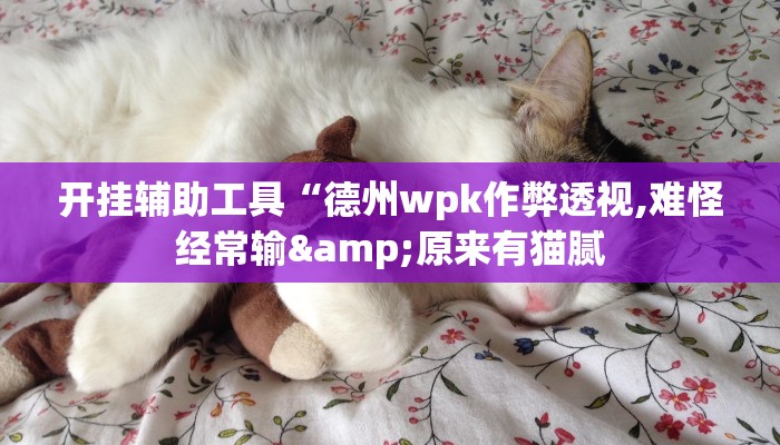 开挂辅助工具“德州wpk作弊透视,难怪经常输&原来有猫腻