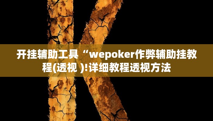 开挂辅助工具“wepoker作弊辅助挂教程(透视 )!详细教程透视方法
