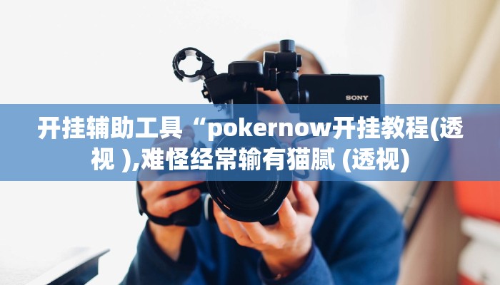开挂辅助工具“pokernow开挂教程(透视 ),难怪经常输有猫腻 (透视)