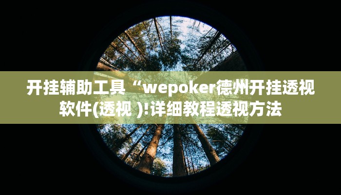 开挂辅助工具“wepoker德州开挂透视软件(透视 )!详细教程透视方法