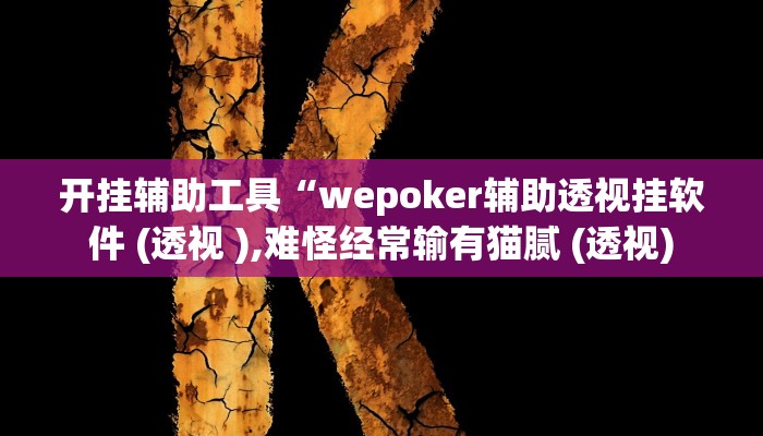 开挂辅助工具“wepoker辅助透视挂软件 (透视 ),难怪经常输有猫腻 (透视)