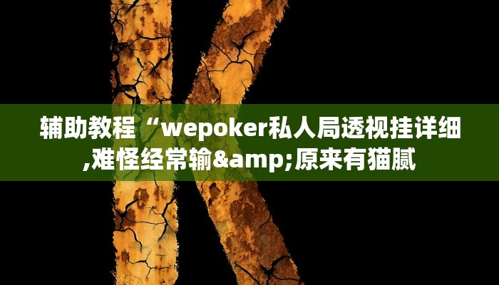 辅助教程“wepoker私人局透视挂详细,难怪经常输&原来有猫腻
