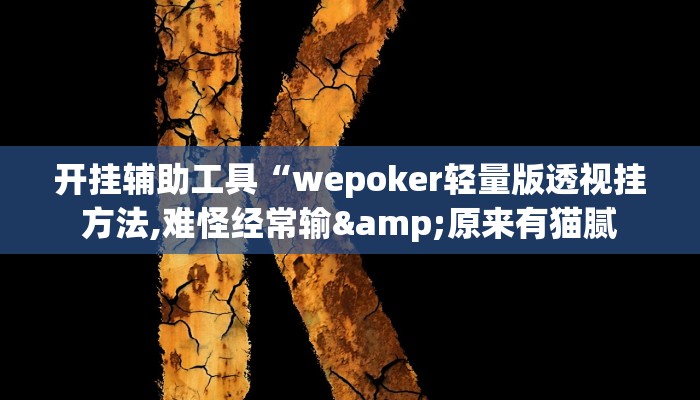 开挂辅助工具“wepoker轻量版透视挂方法,难怪经常输&原来有猫腻