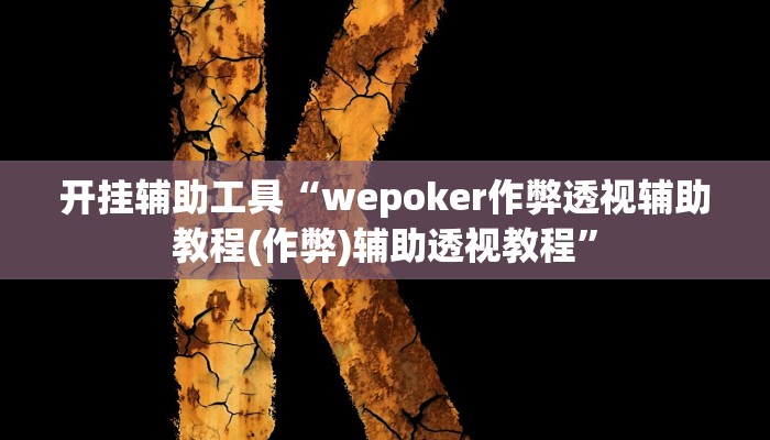 开挂辅助工具“wepoker作弊透视辅助教程(作弊)辅助透视教程”
