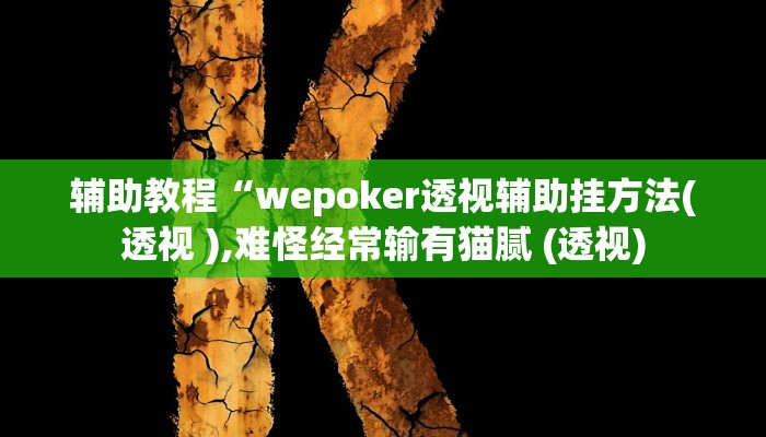 辅助教程“wepoker透视辅助挂方法(透视 ),难怪经常输有猫腻 (透视)