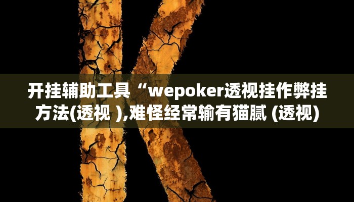开挂辅助工具“wepoker透视挂作弊挂方法(透视 ),难怪经常输有猫腻 (透视)