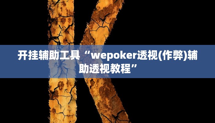 开挂辅助工具“wepoker透视(作弊)辅助透视教程”
