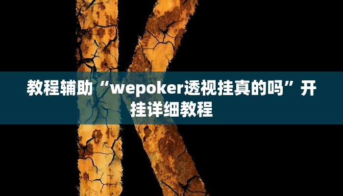 教程辅助“wepoker透视挂真的吗”开挂详细教程
