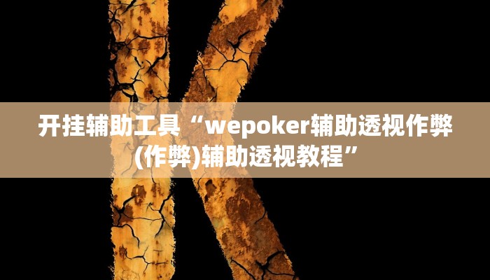 开挂辅助工具“wepoker辅助透视作弊(作弊)辅助透视教程”