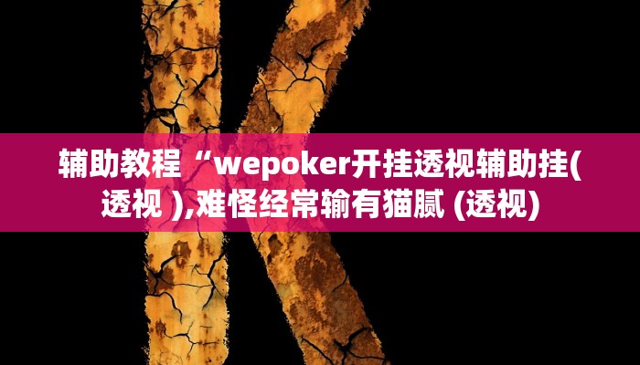 辅助教程“wepoker开挂透视辅助挂(透视 ),难怪经常输有猫腻 (透视)