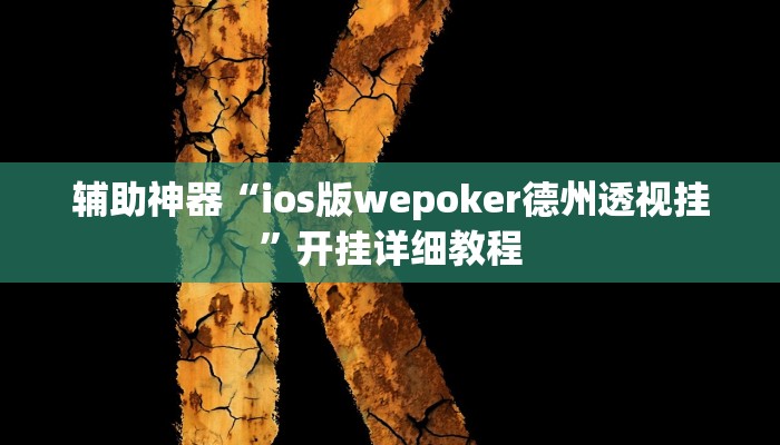 辅助神器“ios版wepoker德州透视挂”开挂详细教程