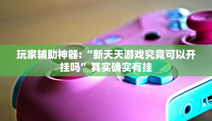 玩家辅助神器:“新天天游戏究竟可以开挂吗”其实确实有挂