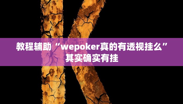 教程辅助“wepoker真的有透视挂么”其实确实有挂
