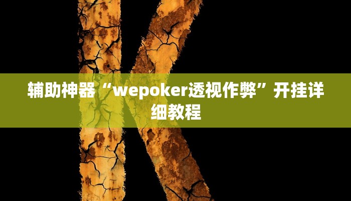 辅助神器“wepoker透视作弊”开挂详细教程