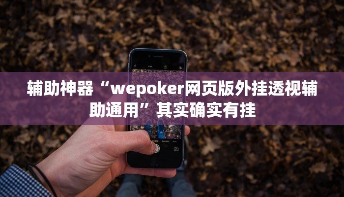 辅助神器“wepoker网页版外挂透视辅助通用”其实确实有挂