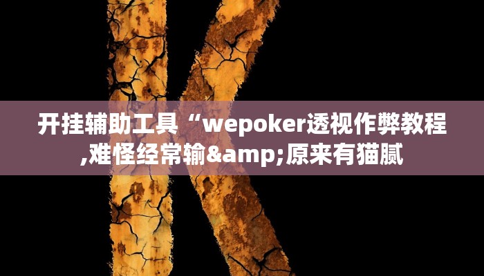 开挂辅助工具“wepoker透视作弊教程,难怪经常输&原来有猫腻