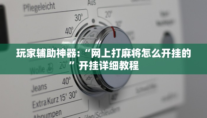 玩家辅助神器:“网上打麻将怎么开挂的”开挂详细教程