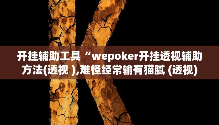 开挂辅助工具“wepoker开挂透视辅助方法(透视 ),难怪经常输有猫腻 (透视)