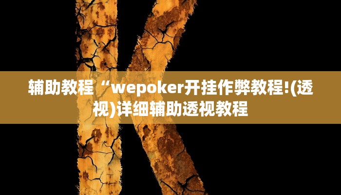 开挂辅助工具“wepoker德州透视挂辅助软件(作弊)辅助透视教程”