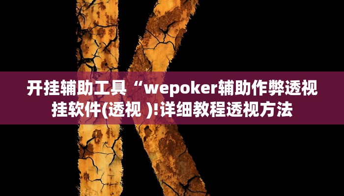 开挂辅助工具“wepoker辅助作弊透视挂软件(透视 )!详细教程透视方法