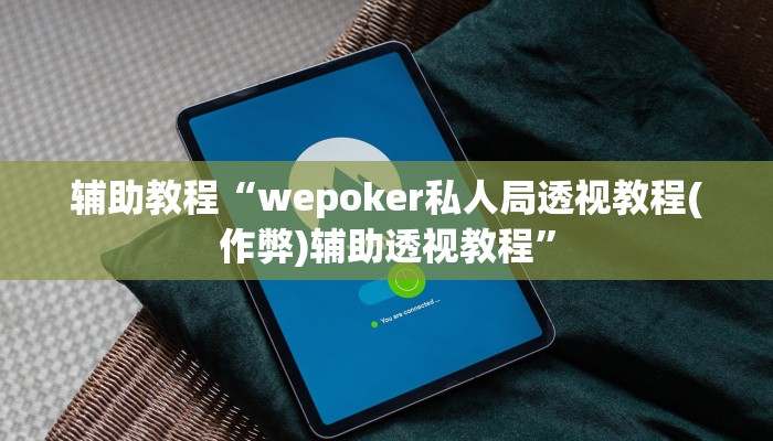 辅助教程“wepoker私人局透视教程(作弊)辅助透视教程”