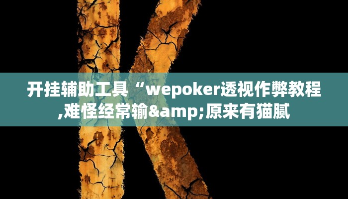 开挂辅助工具“wepoker透视作弊教程,难怪经常输&原来有猫腻