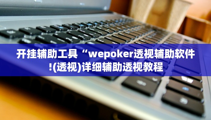 玩家辅助神器:“wepoker透视辅助挂教程”其实确实有挂
