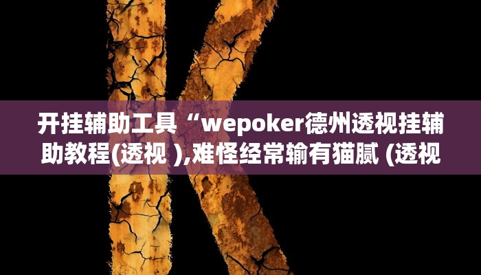 开挂辅助工具“wepoker德州透视挂辅助教程(透视 ),难怪经常输有猫腻 (透视)