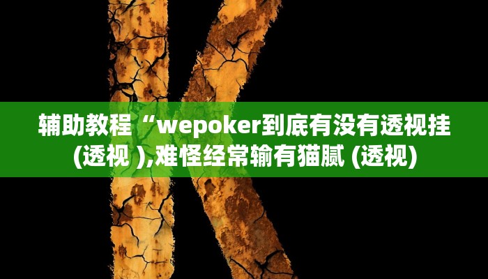 辅助教程“wepoker到底有没有透视挂(透视 ),难怪经常输有猫腻 (透视)