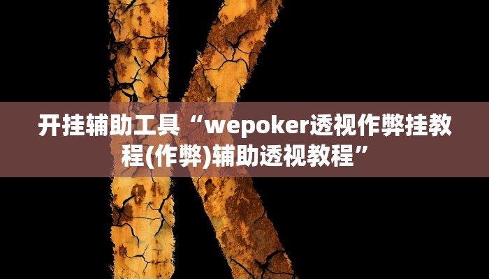开挂辅助工具“wepoker透视作弊挂教程(作弊)辅助透视教程”