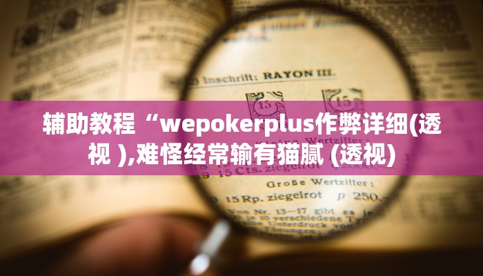 辅助教程“wepokerplus作弊详细(透视 ),难怪经常输有猫腻 (透视)