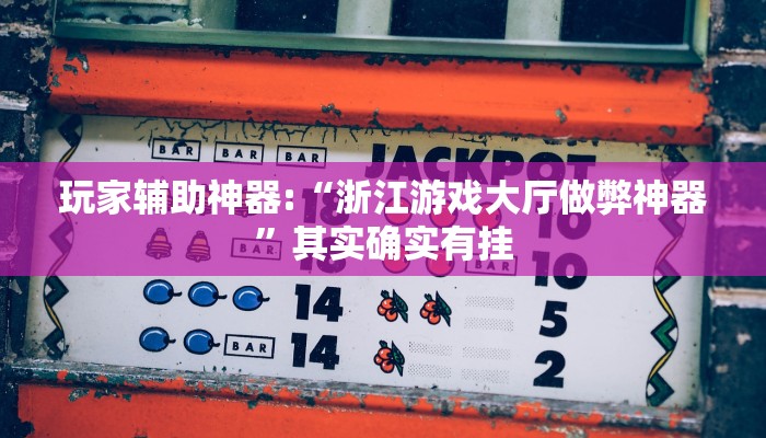 玩家辅助神器:“浙江游戏大厅做弊神器”其实确实有挂