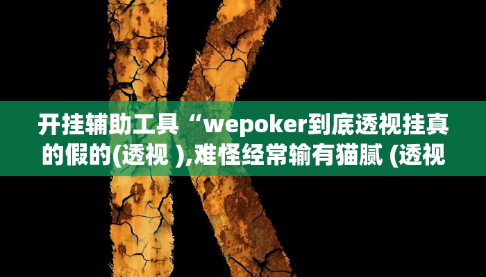 开挂辅助工具“wepoker到底透视挂真的假的(透视 ),难怪经常输有猫腻 (透视)