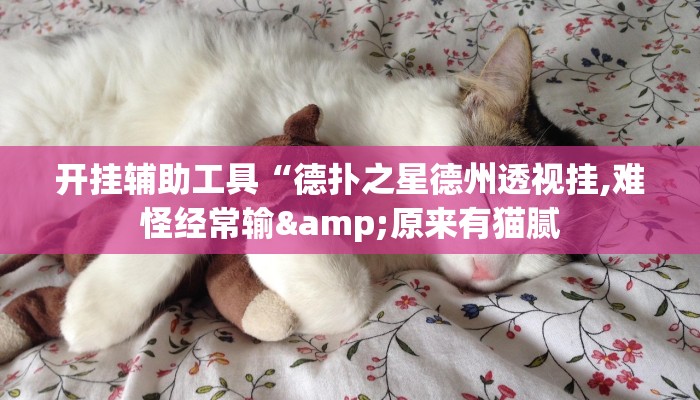 开挂辅助工具“德扑之星德州透视挂,难怪经常输&原来有猫腻