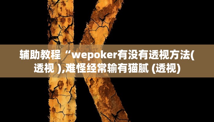 辅助教程“wepoker有没有透视方法(透视 ),难怪经常输有猫腻 (透视)