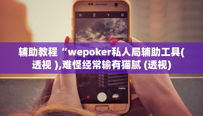 辅助教程“wepoker私人局辅助工具(透视 ),难怪经常输有猫腻 (透视)