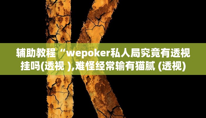 辅助教程“wepoker私人局究竟有透视挂吗(透视 ),难怪经常输有猫腻 (透视)