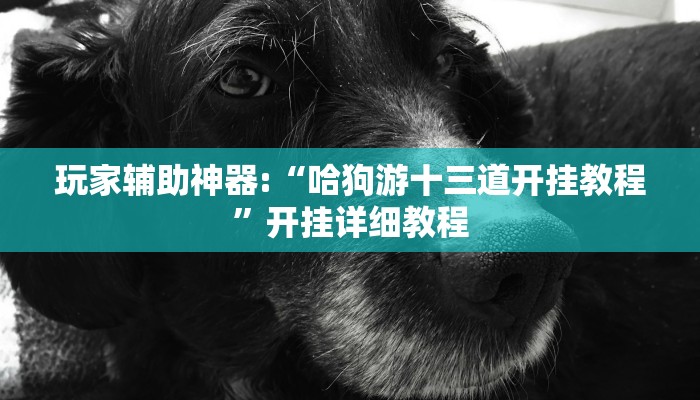玩家辅助神器:“哈狗游十三道开挂教程”开挂详细教程