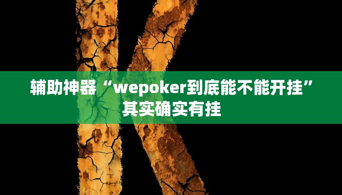 辅助神器“wepoker到底能不能开挂”其实确实有挂