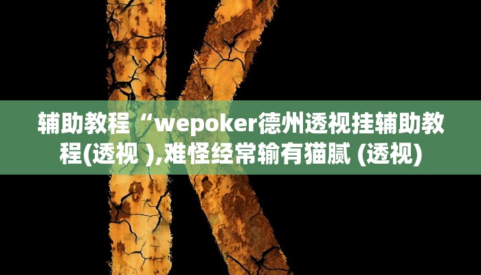 辅助教程“wepoker德州透视挂辅助教程(透视 ),难怪经常输有猫腻 (透视)