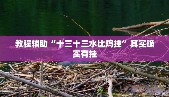 教程辅助“十三十三水比鸡挂”其实确实有挂