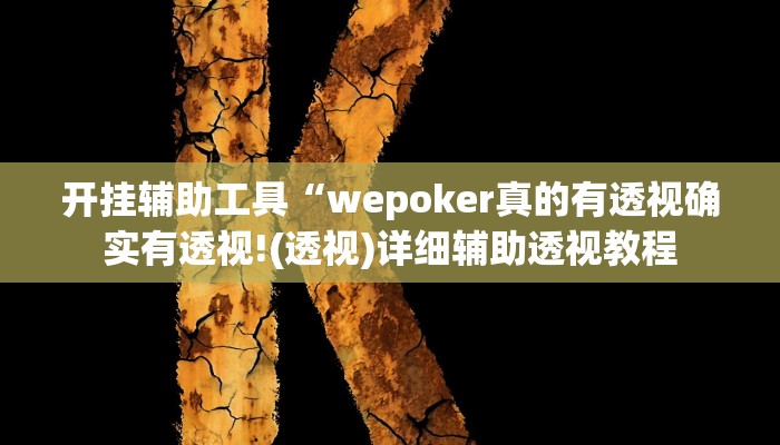 开挂辅助工具“wepoker真的有透视确实有透视!(透视)详细辅助透视教程
