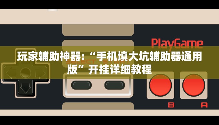 玩家辅助神器:“手机填大坑辅助器通用版”开挂详细教程