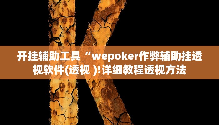 开挂辅助工具“wepoker作弊辅助挂透视软件(透视 )!详细教程透视方法