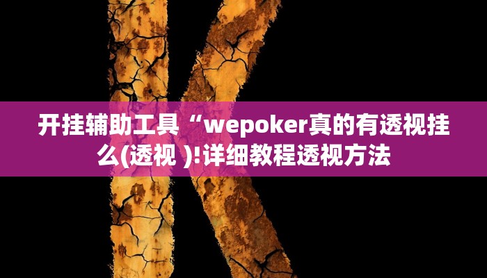开挂辅助工具“wepoker真的有透视挂么(透视 )!详细教程透视方法