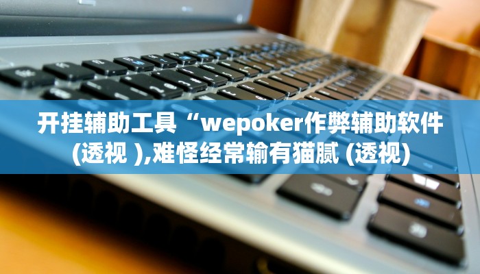 开挂辅助工具“wepoker作弊辅助软件(透视 ),难怪经常输有猫腻 (透视)